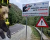 Lege de protecție a urșilor și a oamenilor, propusă de doi deputați ai PSD: „Ursul nu e jucărie – păstrează distanța, respectă natura”