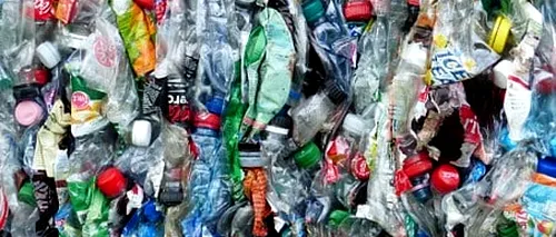 Consiliul Județean Ilfov renunță la construirea stației de reciclare a deșeurilor în Ciorogârla. Președintele CJ: „Toți consilierii USR PLUS au votat «pentru», apoi s-au opus, vehement și nejustificat”