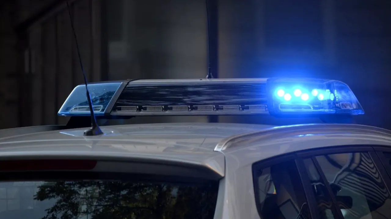 Tânără din Argeș, ridicată de polițiști pentru pornografie infantilă. Aceasta făcea parte dintr-o grupare care avea clienți peste hotare