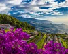 Cât costă o VACANȚĂ în Madeira, supranumită „insula florilor” și „paradisul primăverii eterne”