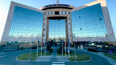 4 maimuțe fără documente legale, descoperite la Vama Moravița. Cum a justificat șoferița ucraineană transportul în fața polițiștilor de frontieră