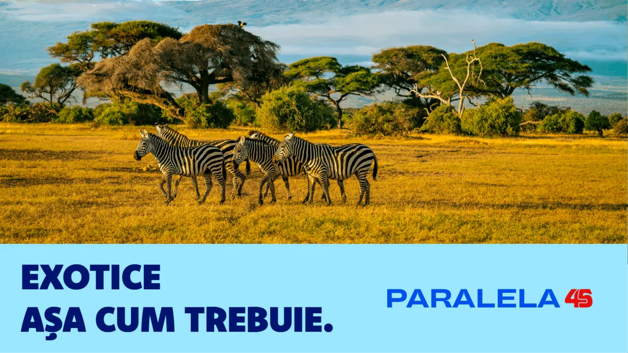 (P) Paralela45 a schimbat jocul în turismul exotic din România. Dreamliner charter exclusiv și o vacanță pe care nu ai mai văzut-o până acum