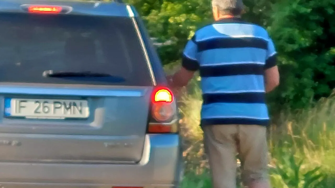 Amendă uriașă pentru un bărbat din Ilfov care și-a abandonat câinele