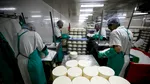 Este brânza prea SĂRATĂ? Iată trei metode simple pentru modificarea gustului