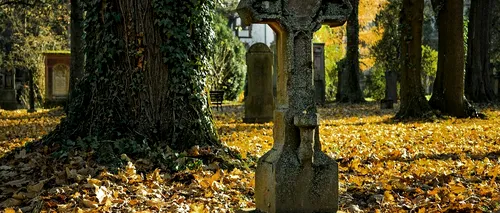 MApN va restaura o parcelă dintr-un cimitir polonez în care sunt îngropați soldați români
