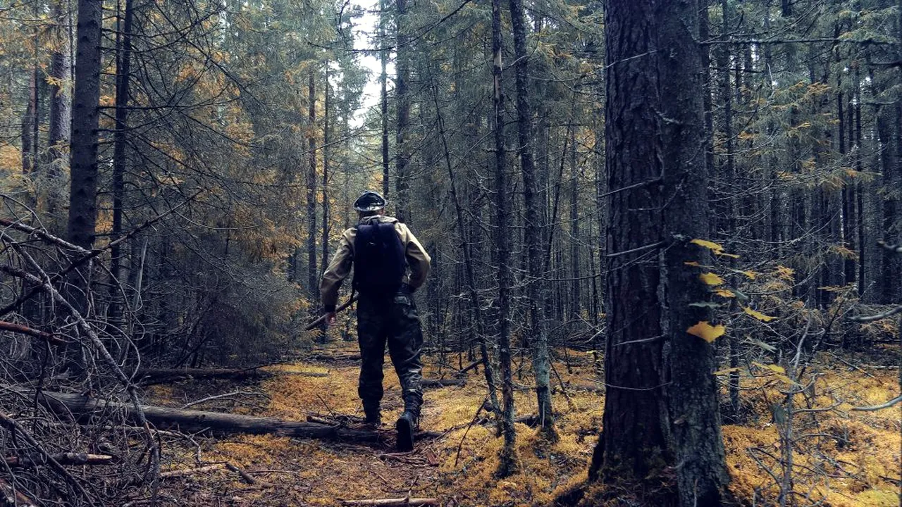 VIDEO. Momentul în care un pădurar este împins în apă în timp ce ruga vizitatorii să păstreze distanța