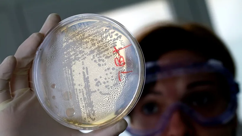 Microbii care ne țin sănătoși. Fiecare om găzduiește sute de mii de tipuri
