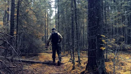 VIDEO. Momentul în care un pădurar este împins în apă în timp ce ruga vizitatorii să păstreze distanța