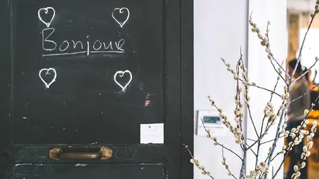 Profesor de franceză, concediat după 5 luni: Știa un singur cuvânt în limba respectivă