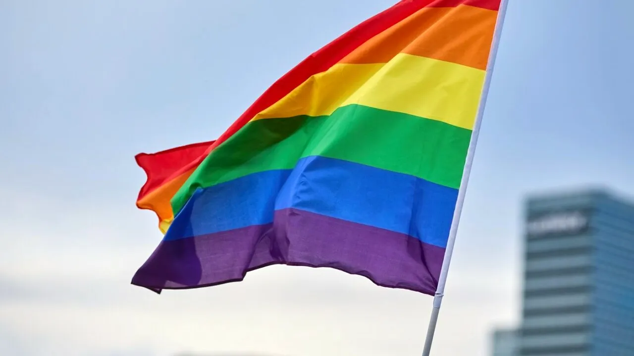 Adolescenții francezi care au desenat steagul Franței pe scările vopsite în culorile LGBT au fost arestați