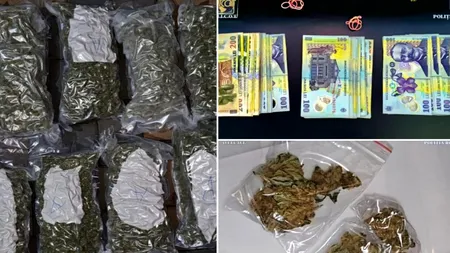 Cantitatea URIAȘĂ de droguri descoperită de polițiști în locuința unui constănțean. „Comoara” ilegală l-a băgat direct în arest