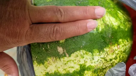 Cum alegi un pepene roșu. Trucul care nu dă greș, dezvăluit de un fermier