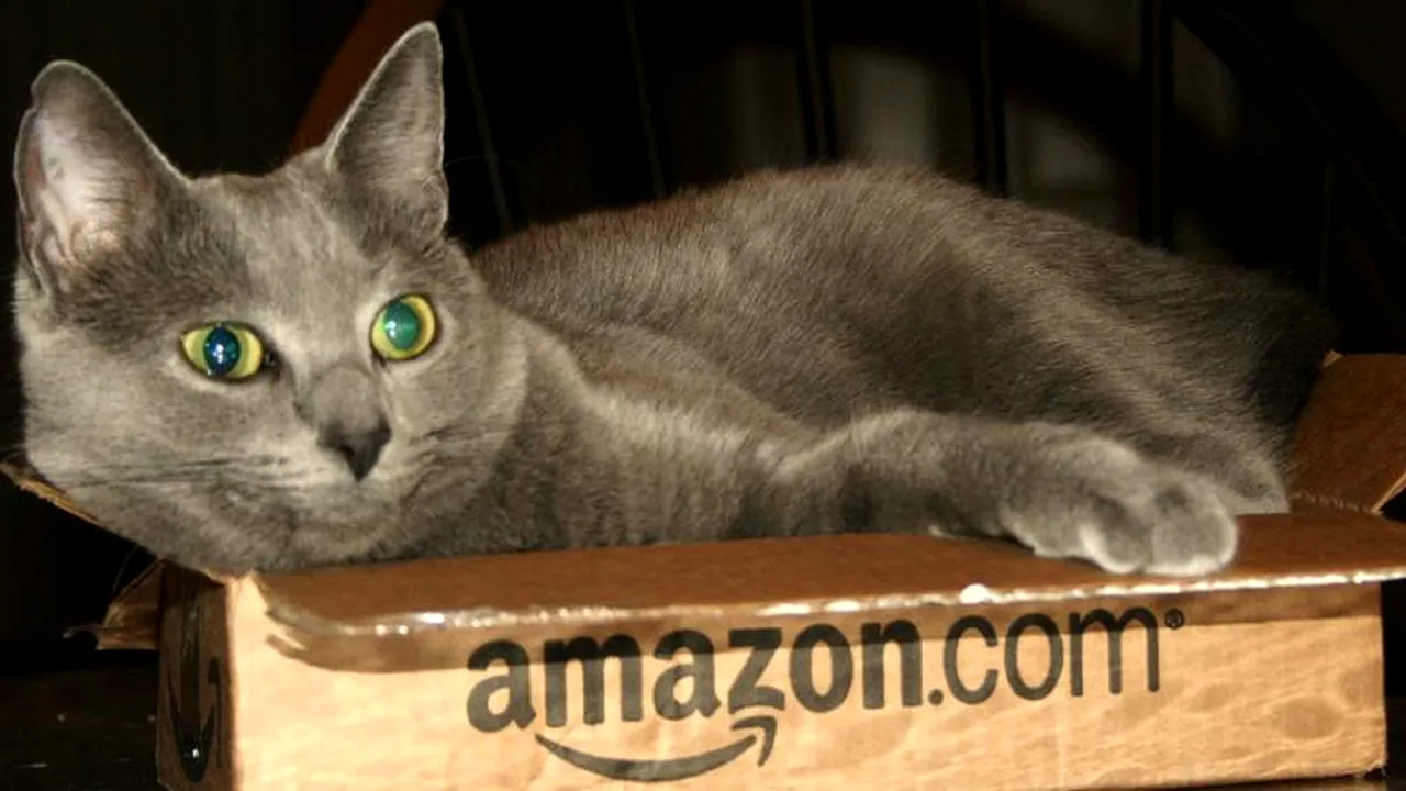 Motivul pentru care românii nu se înghesuie să lucreze de acasă pentru Amazon. În anunțul companiei apare un DETALIU important