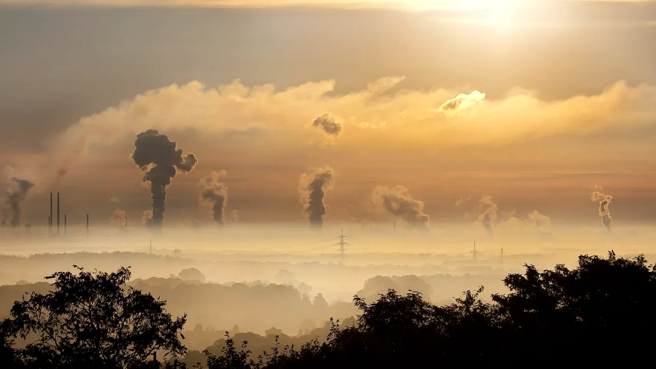 Carbonul - un produs nedorit, dar pentru care va trebui sa plătim