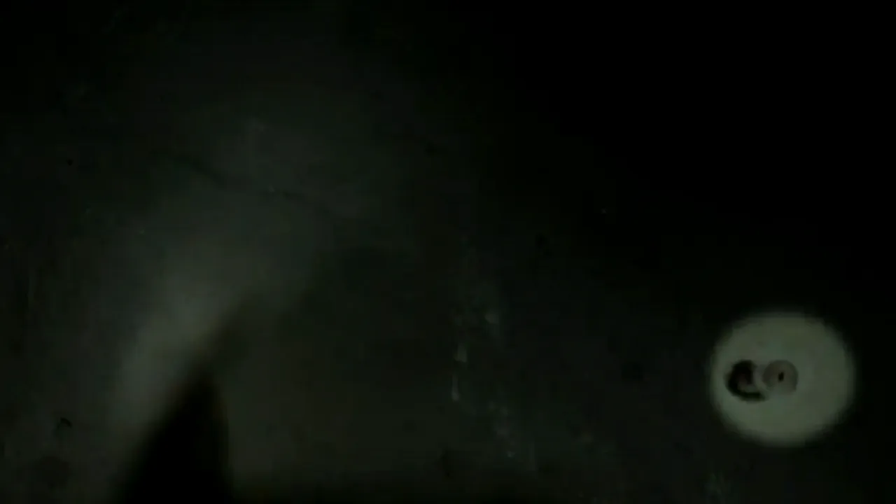 GALERIE FOTO: Creaturile ciudate care trăiesc la cea mai mare adâncime pe Terra