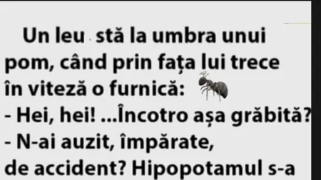 BANCUL ZILEI | „Un leu stă la umbra unui pom”