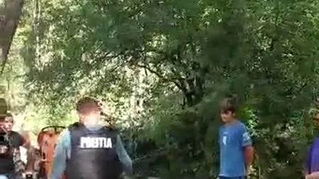 Imagini uluitoare cu mai mulți hoți de lemne prinși în flagrant în pădure! Cât material lemnos au fost în stare să taie! VIDEO & FOTO