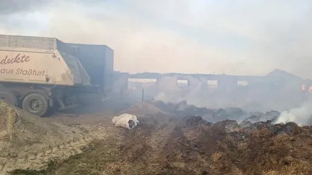 VIDEO | Un incendiu de vegetație s-a extins la o fermă din județul Botoșani. Mai multe animale au pierit în flăcări