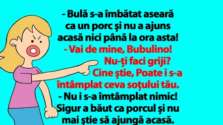 BANCUL ZILEI | Bubulina fierbe de nervi: 