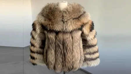 Un tânăr din Iași a furat o haină de blană de 5.000 de lei din Palas Mall și a vândut-o apoi cu 1.500 de lei. Ce s-a întâmplat imediat