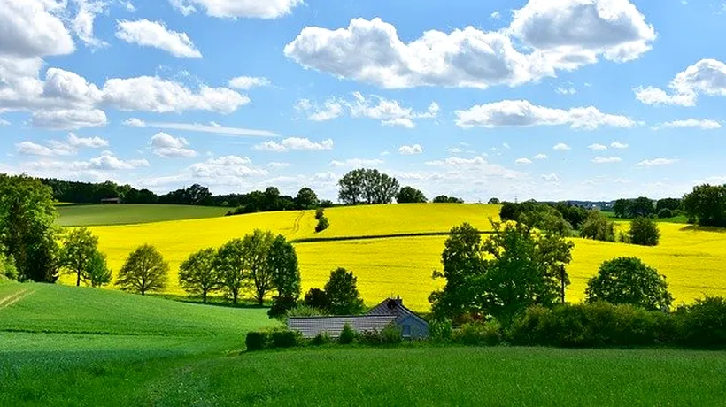 Cotații terenuri: Olanda este țara cu cel mai scump teren agricol din Europa, cu prețuri de 70.000 euro/ha. În România, pământul este de până la 13 ori mai ieftin