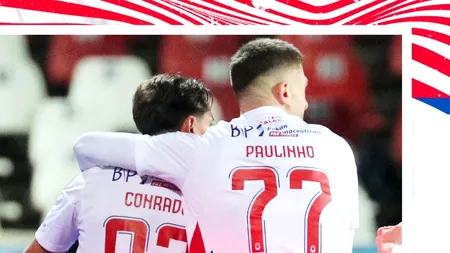 Programul etapei 19 din Superliga de FOTBAL! Când se joacă FC Botoșani - Rapid