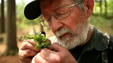 60 de specii noi de animale și plante au fost descoperite în Surinam