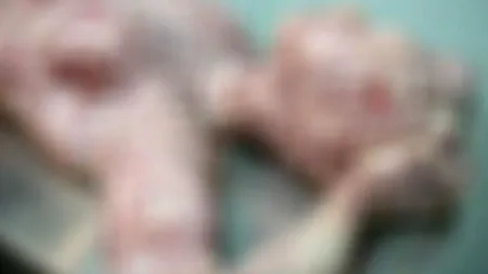 Un polițist german a ucis un bărbat și apoi l-a mâncat