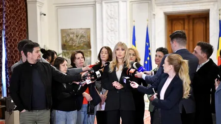 250 de parlamentari sprijină proiectul depus de deputatele PSD, care previne şi combate femicidul şi violenţa care-l precede