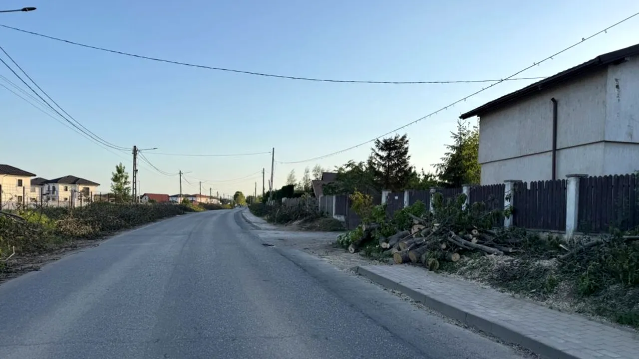 Modernizare cu DRUJBA la o primărie din țară. Au tăiat masiv copacii ca să facă loc pistelor de biciclete