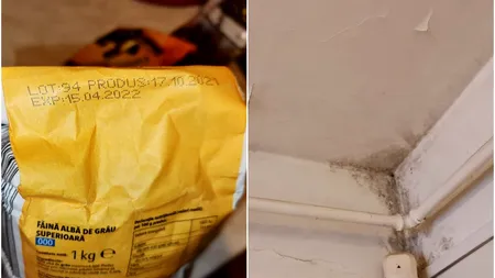 After school din Bucureşti, închis de către inspectorii ANPC. Au găsit mizerie, mâncare expirată, dar și multe alte nereguli. Cât plăteau părinții pentru asemenea lucruri