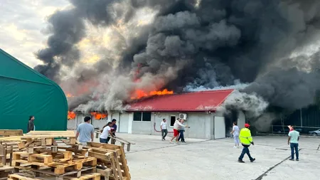 VIDEO Incendiu violent în Buftea. Hală cuprinsă de flăcări, pompierii intervin cu 12 autospeciale