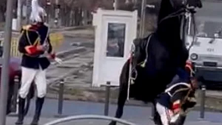 EXCLUSIV | Decizie neașteptată a procurorilor militari în cazul jandarmului care a căzut de pe cal de Ziua Națională. O probă importantă ar fi lipsit din dosar