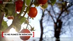 Cum ne pot pune sănătatea în pericol roșiile cu pesticide cumpărate din piață
