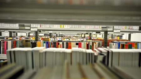 RECORD. Un roman erotic, vândut într-un milion de copii tipărite