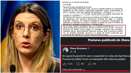 Dezinformare de la vârful Guvernului. Ministra Diana Buzoianu susține că judecătorii au suspendat un comunicat de presă. Decizia Tribunalului o contrazice
