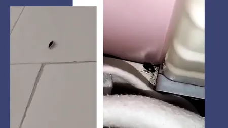 Imagini ȘOCANTE la Spitalul din Botoșani. Pacient: „Mizerie ruptă parcă dintr-un film de groază”