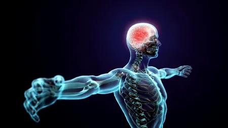 20 de lucruri pe care probabil nu le știi despre corpul uman