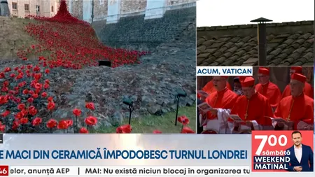 Turnul Londrei, împodobit cu 30.000 de maci din ceramică. Ce simbolizează