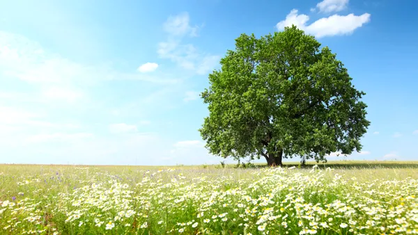 După frig și ploi, vine un aer tropical peste România. Temperaturi de peste 30 de grade în luna iunie