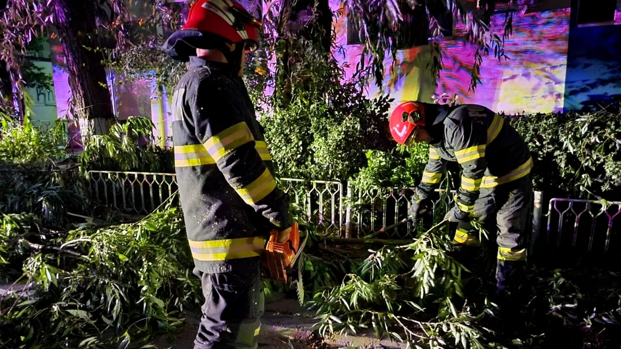 FOTO-VIDEO. Autoturisme distruse de furtună, în Giurgiu. Copacii și panourile publicitare s-au prăbușit din cauza vijeliei