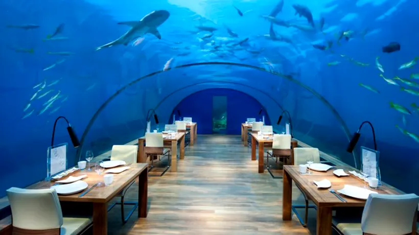 Restaurantele în care poți lua masa înconjurat de delfini