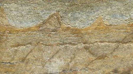 Cea mai veche fosilă de pe Pământ a fost descoperită. Conține primele dovezi ale vieții de pe Terra