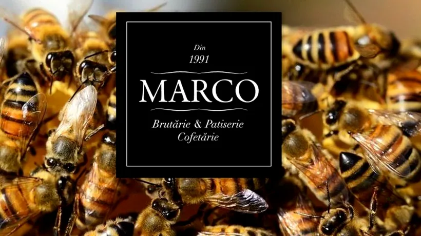 Proprietarul lanțului de brutării „Marco” ar fi murit după ce a fost înțepat de albine - SURSE