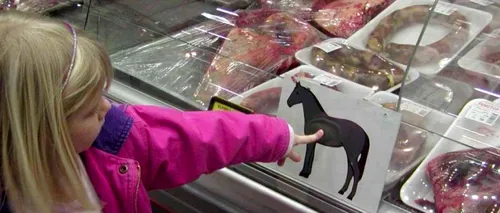 Carne de cal, depistată în loturi de carne etichetată drept vită, în Olanda