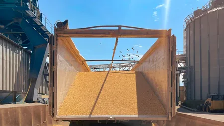 CE: Exporturile europene de produse agricole au ajuns la un nivel record în 2024. Care au fost principalii parteneri comerciali