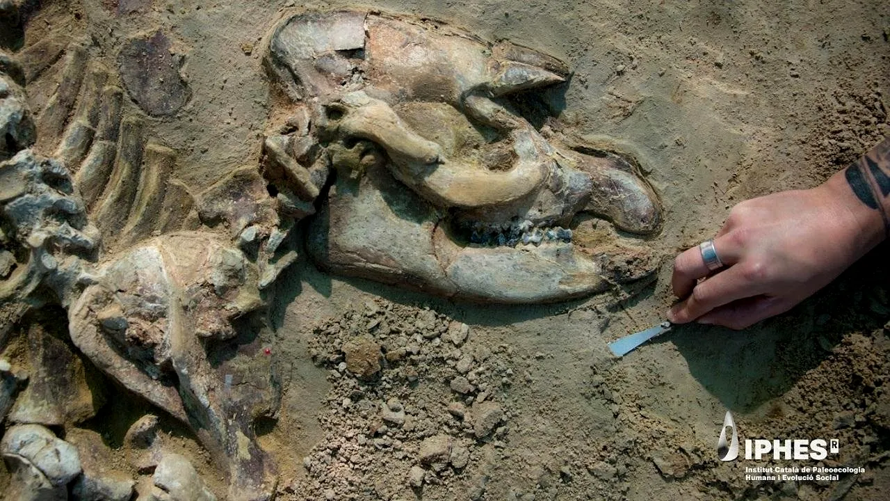 Arheologii au făcut o descoperire uluitoare în Spania. Este cel mai complet schelet găsit vreodată în Europa