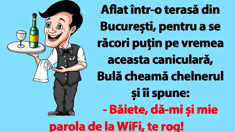 BANC | Bulă cere parola de WiFi, într-o terasă din București
