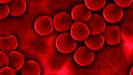 O tehnică de modificare a ADN-ului ce ar putea ajuta la tratarea unei afecțiuni rare a sângelui, aprobată în Europa