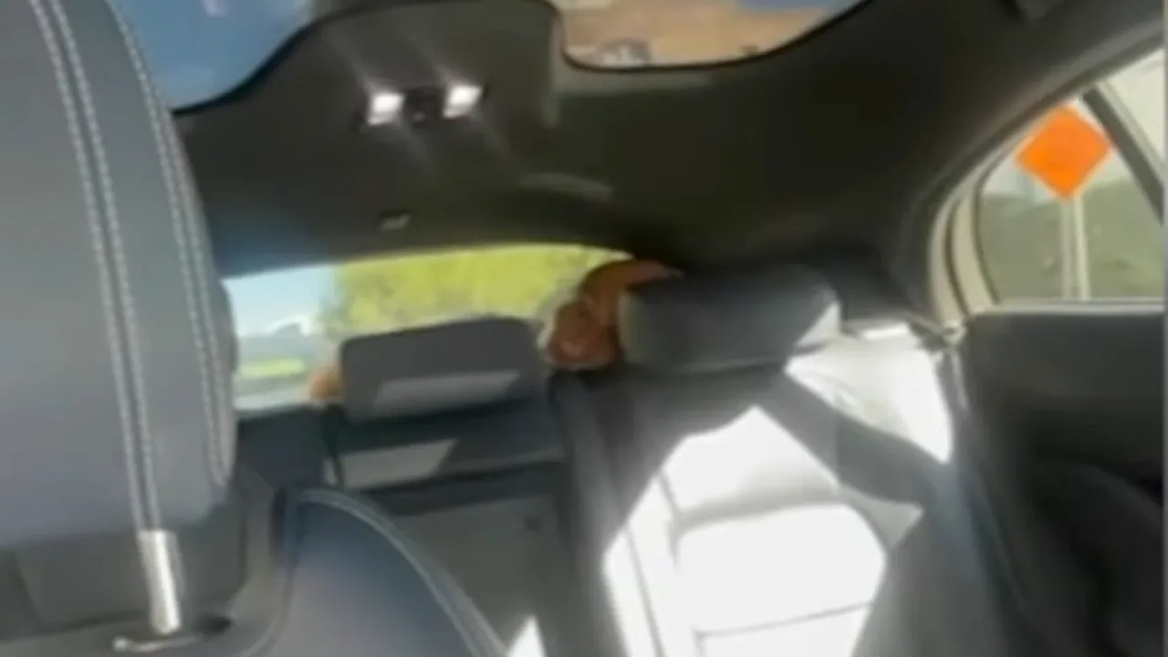 Ce a descoperit o femeie care a comandat un taxi autonom Waymo: „Chestia asta nu mă lasă să ies”